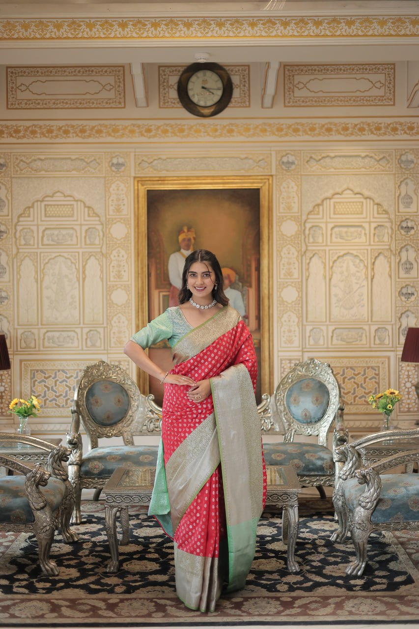 Premium designer saree