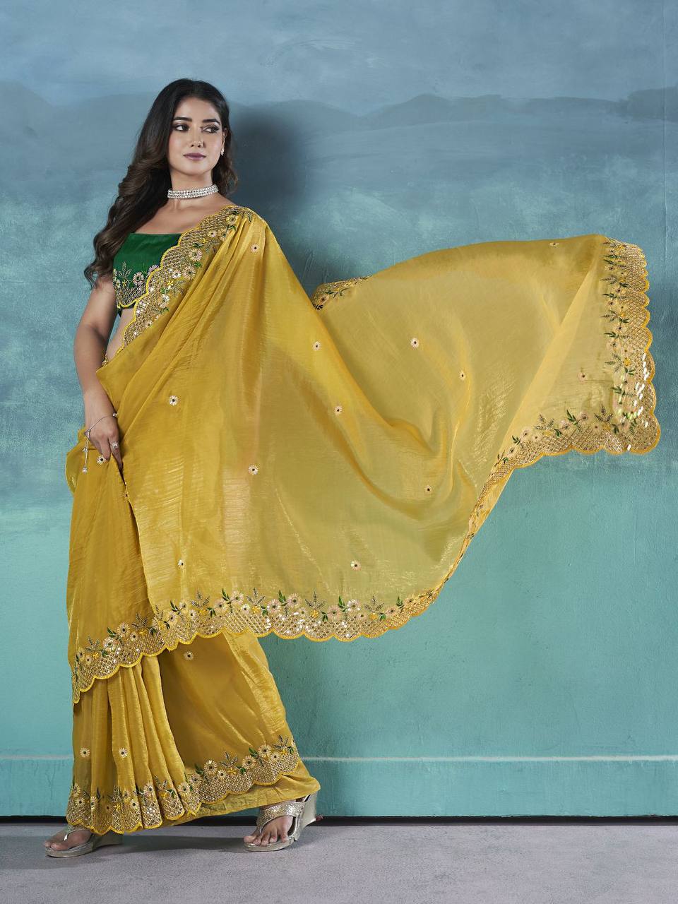 Traditional Saree