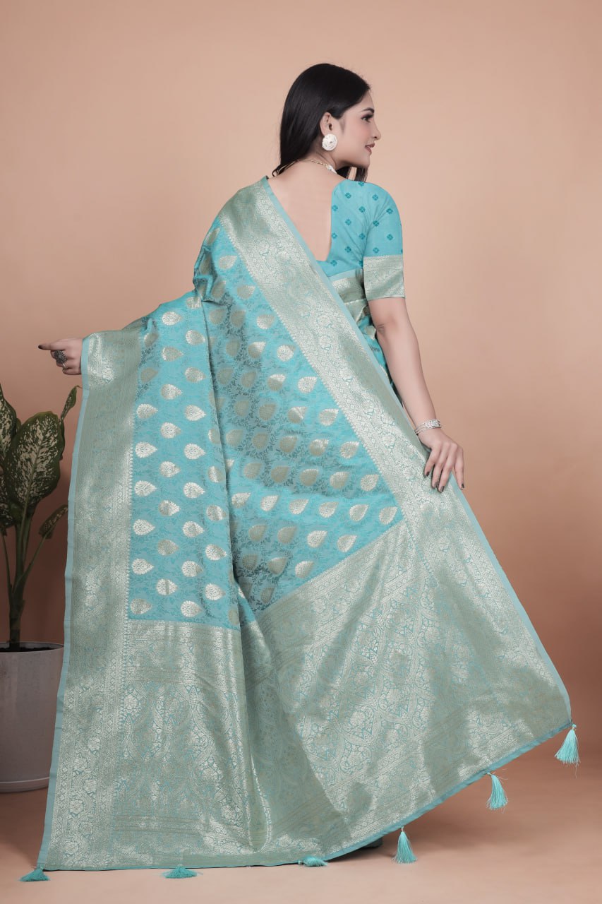 Sky Blue Banarasi Silk Saree with Silver Zari Butti and Ornate Pallu
