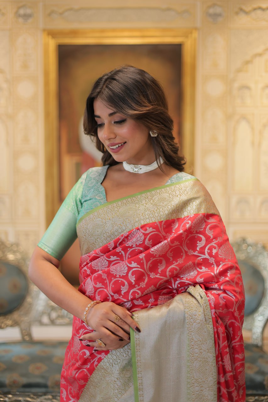 Premium designer saree